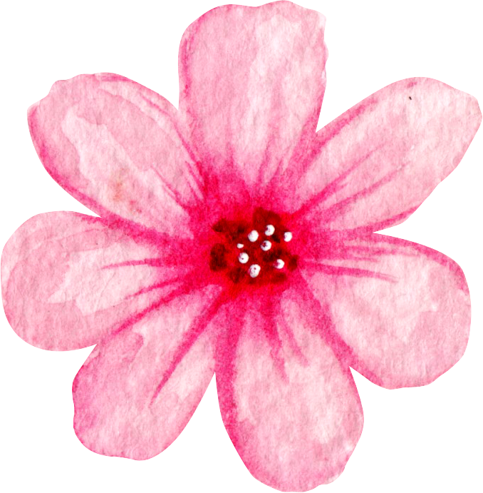 Watercolor pink flower